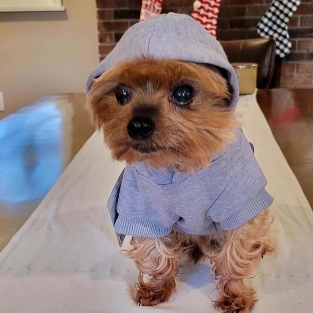 ❤️Host Pick!❤️ Fleece Lined Dog Hoodie XS - Picture 6 of 15